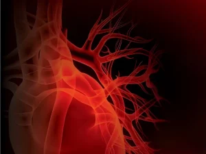 Advanced Cardiac Life Support (ACLS) New Provider